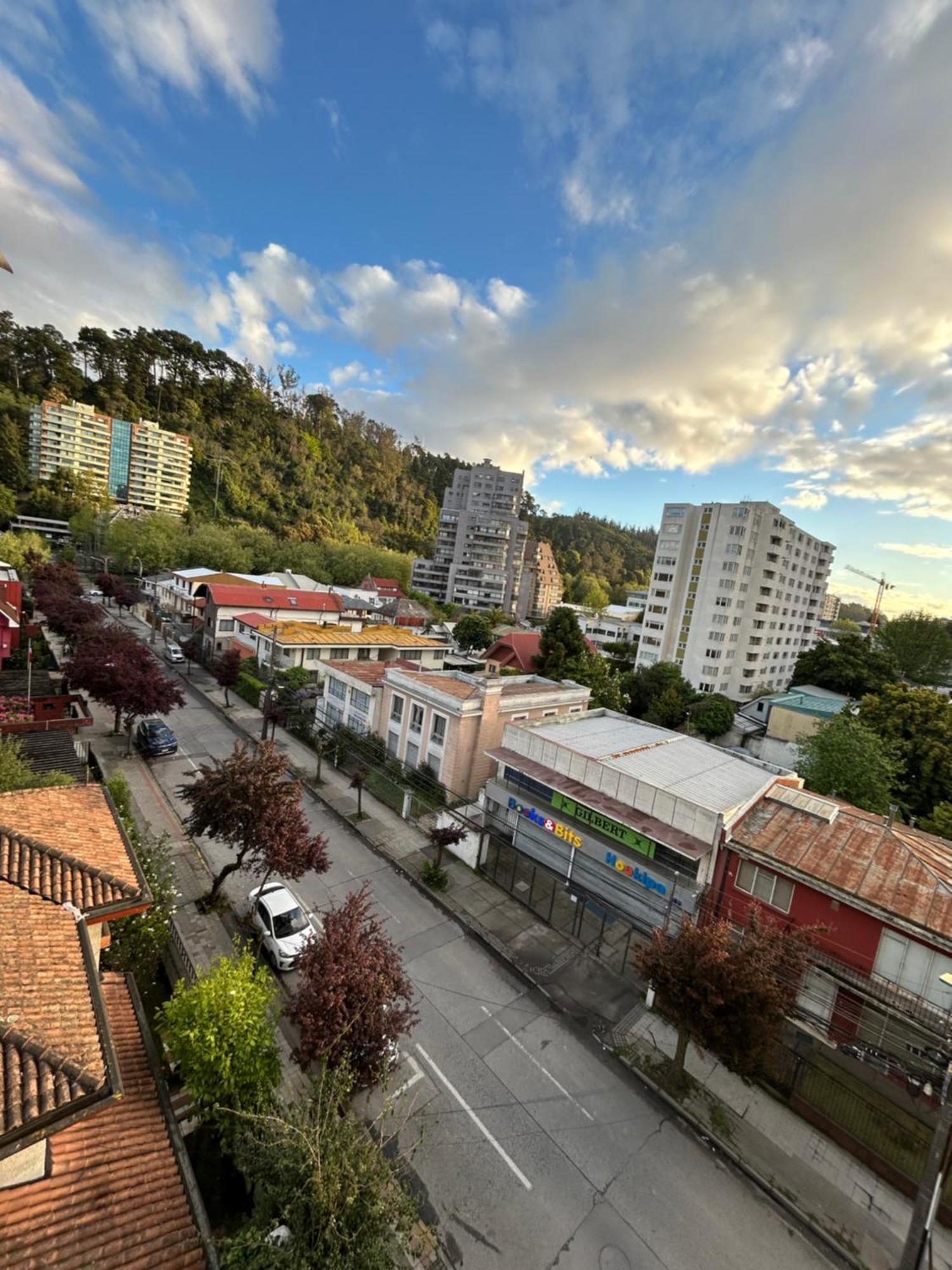 Mirador Parque Apartment Concepcion Exterior photo